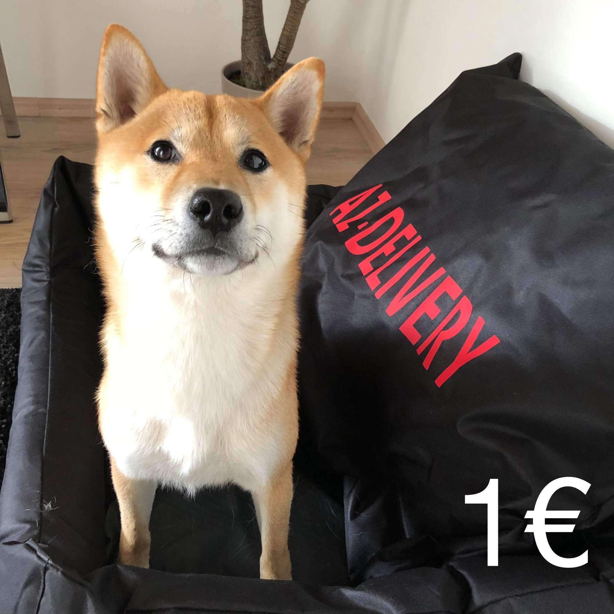 Leckerli für Yoshi - Image 3